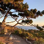Carmel Riviera. Oceanfront, Walk To Beach.