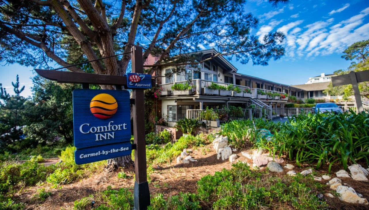 Hotel Comfort By The Sea