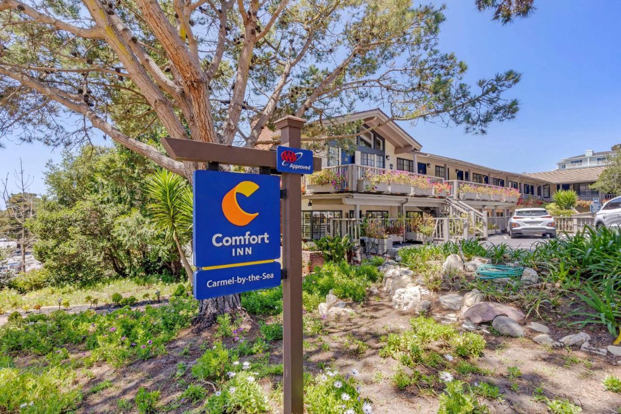 Comfort By The Sea Hotel 3*