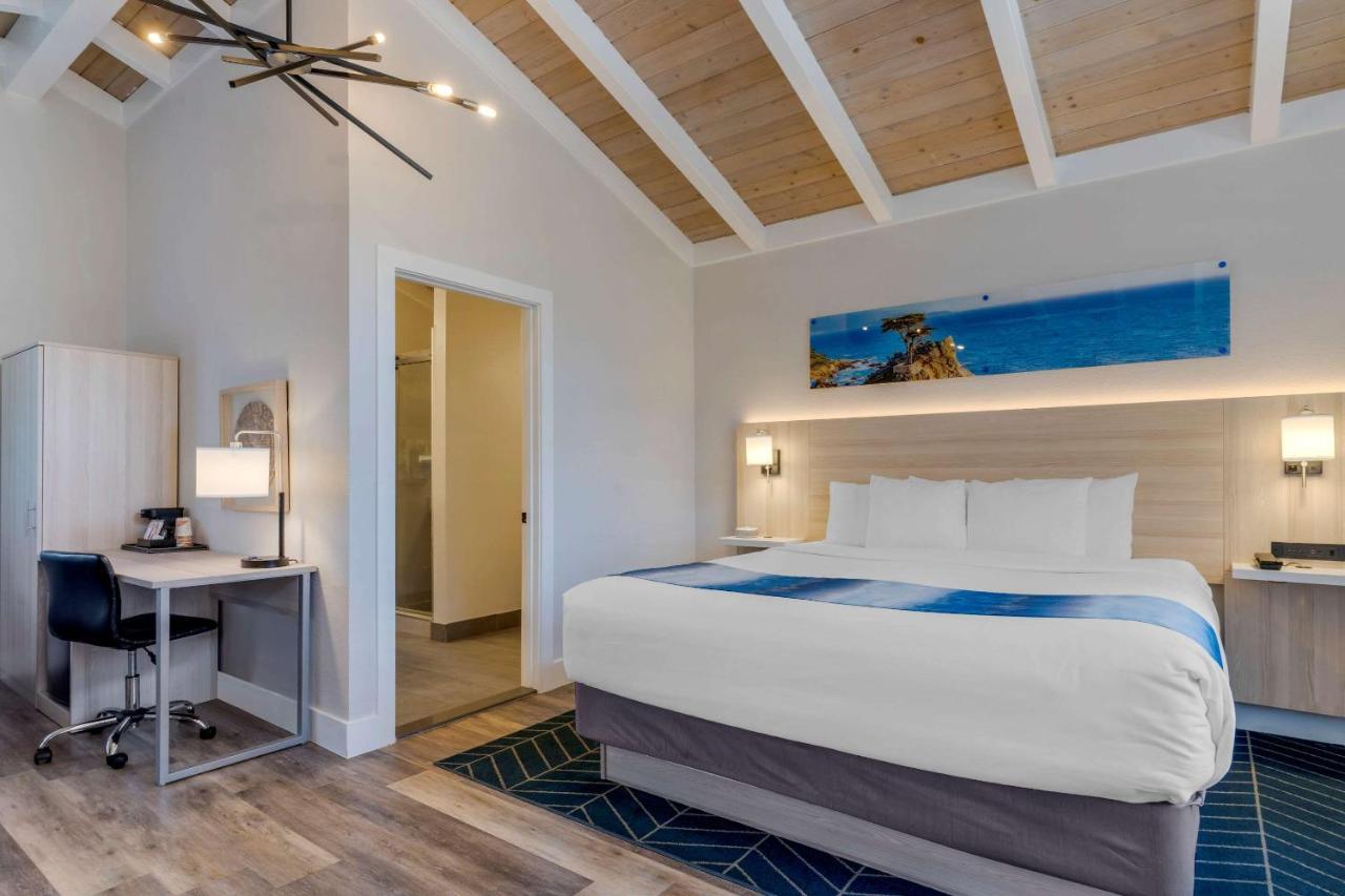 Hotel Comfort By The Sea