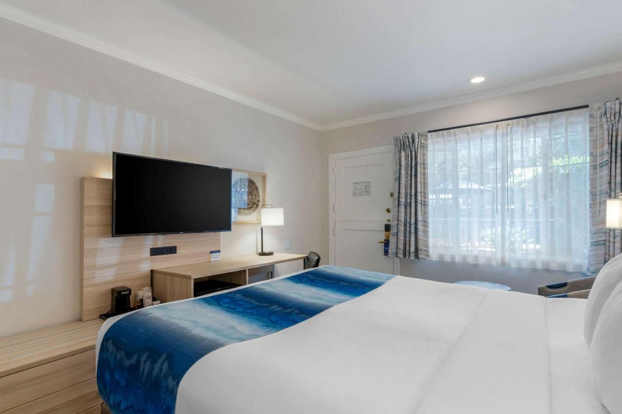 Hotel Comfort By The Sea