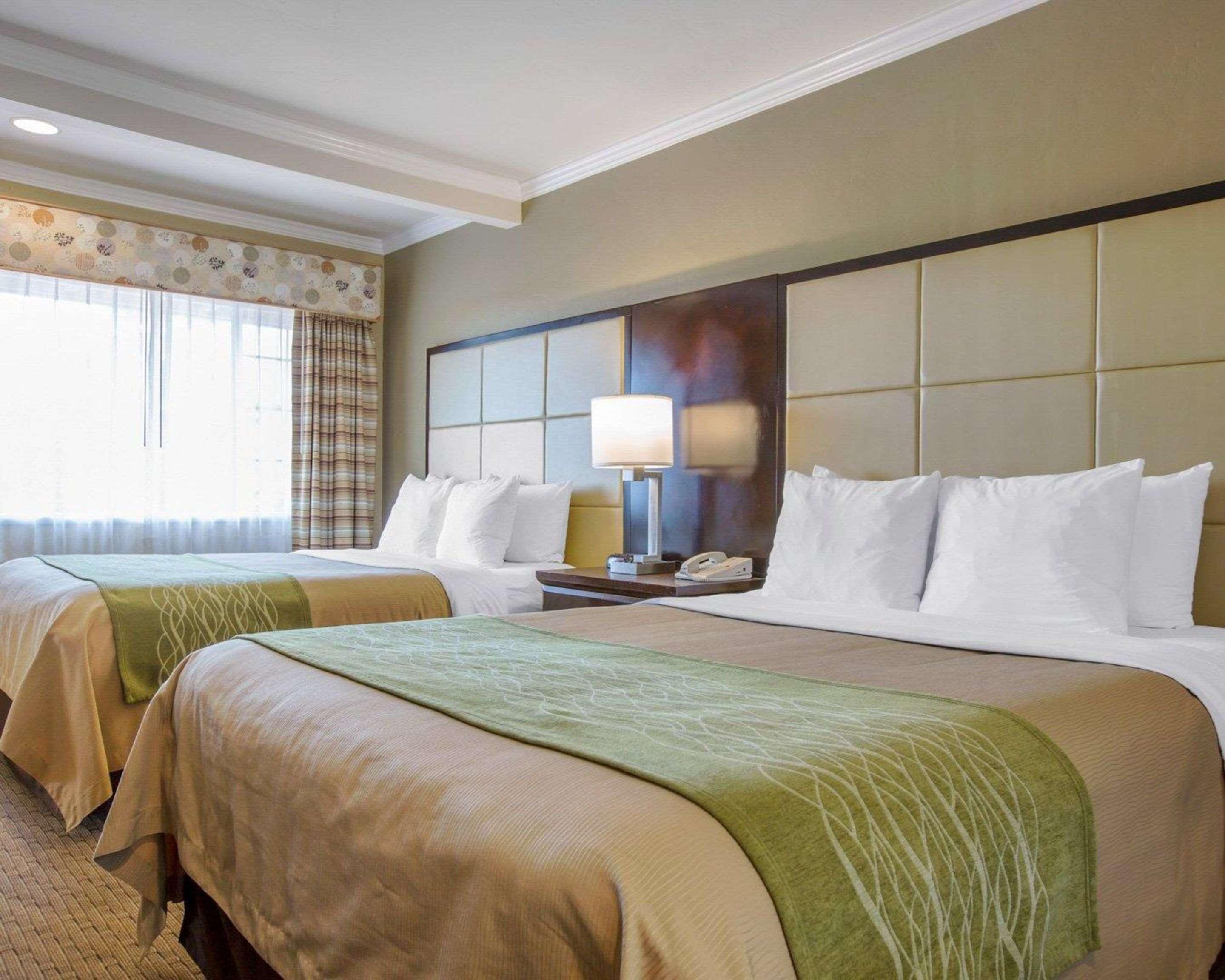 Hotel Comfort By The Sea