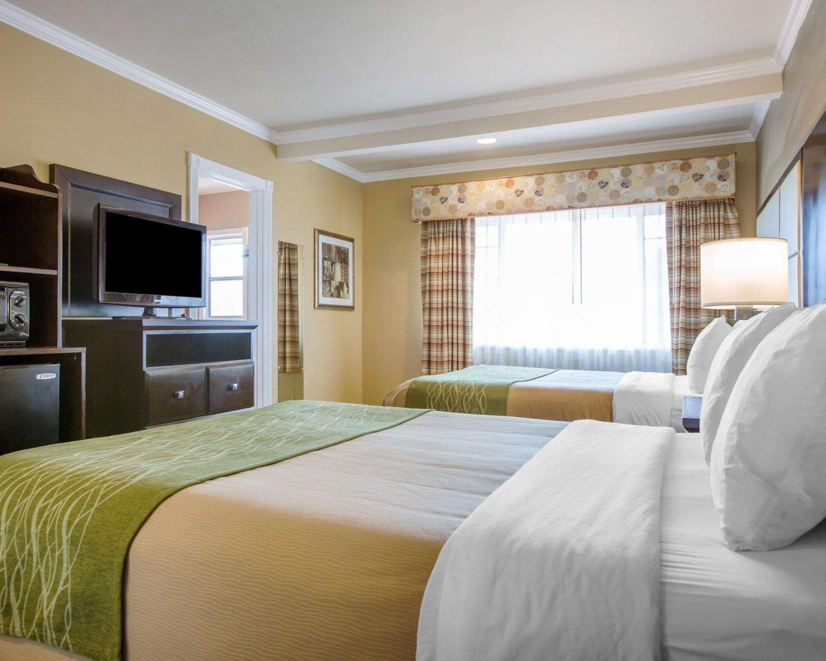 Hotel Comfort By The Sea