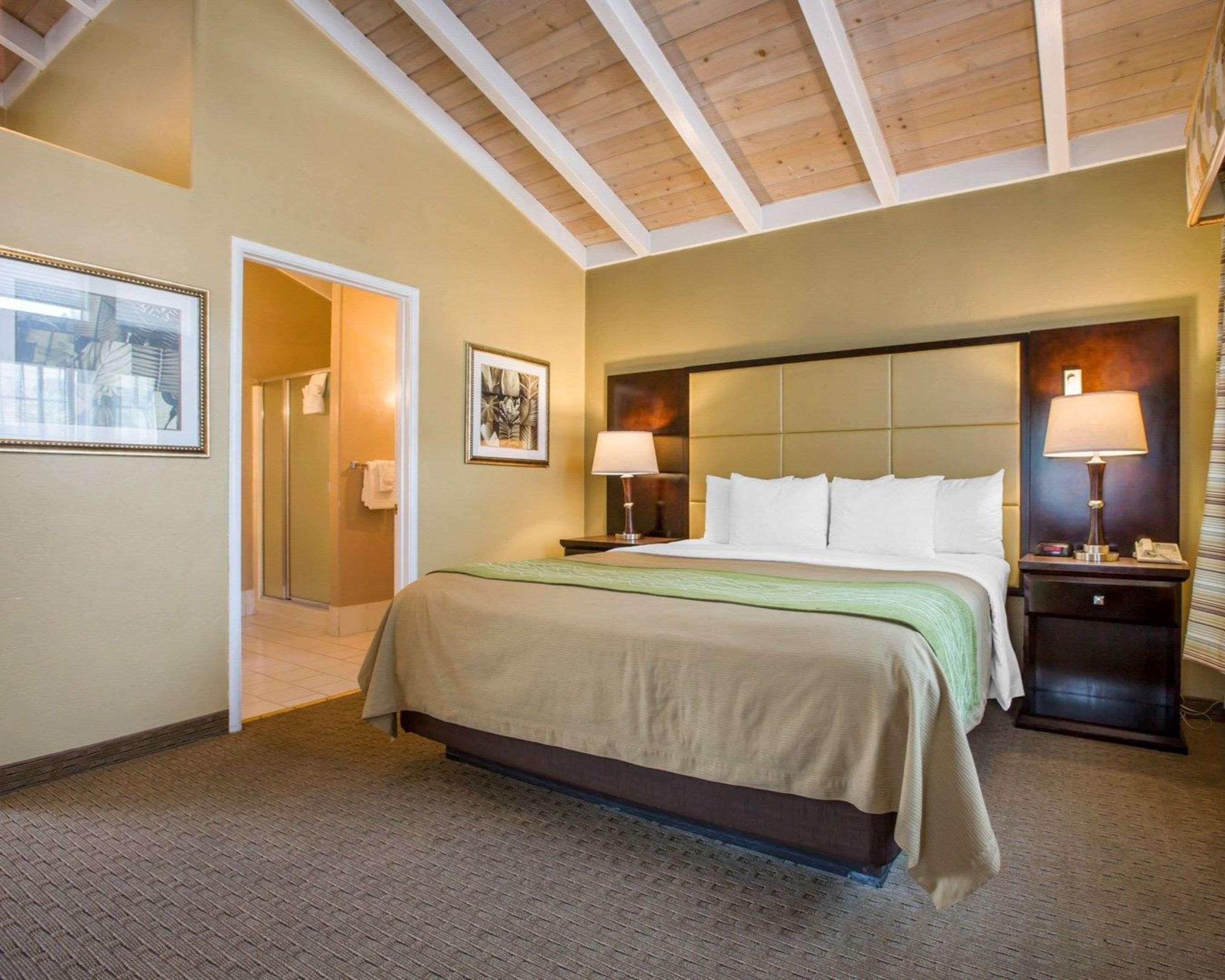 Comfort By The Sea Hotel 3*