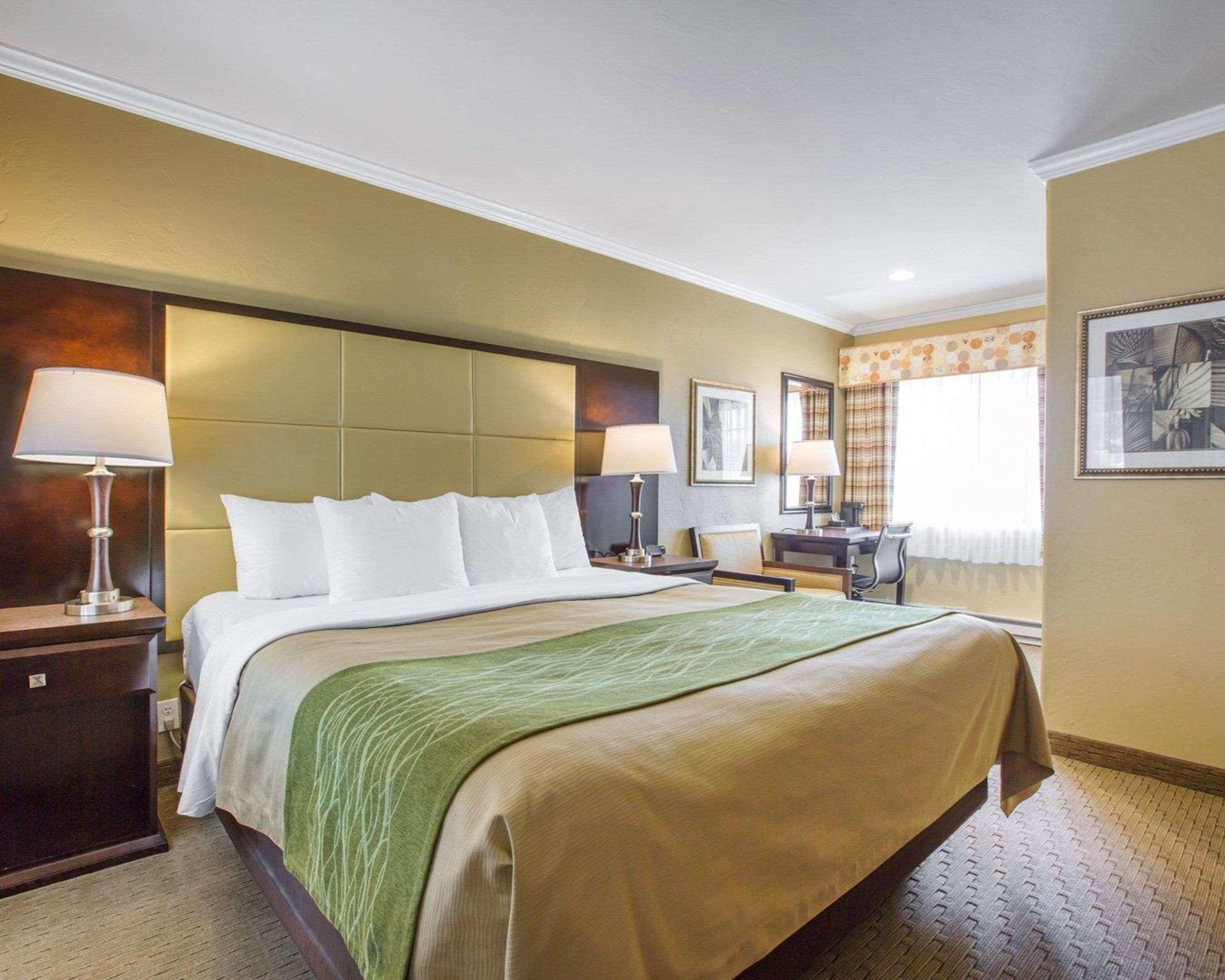 Hotel Comfort By The Sea