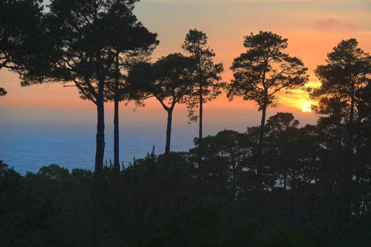 3707 Pacific's Edge Sanctuary * Carmel-by-the-Sea