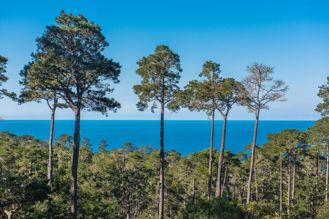 3707 Pacific's Edge Sanctuary *