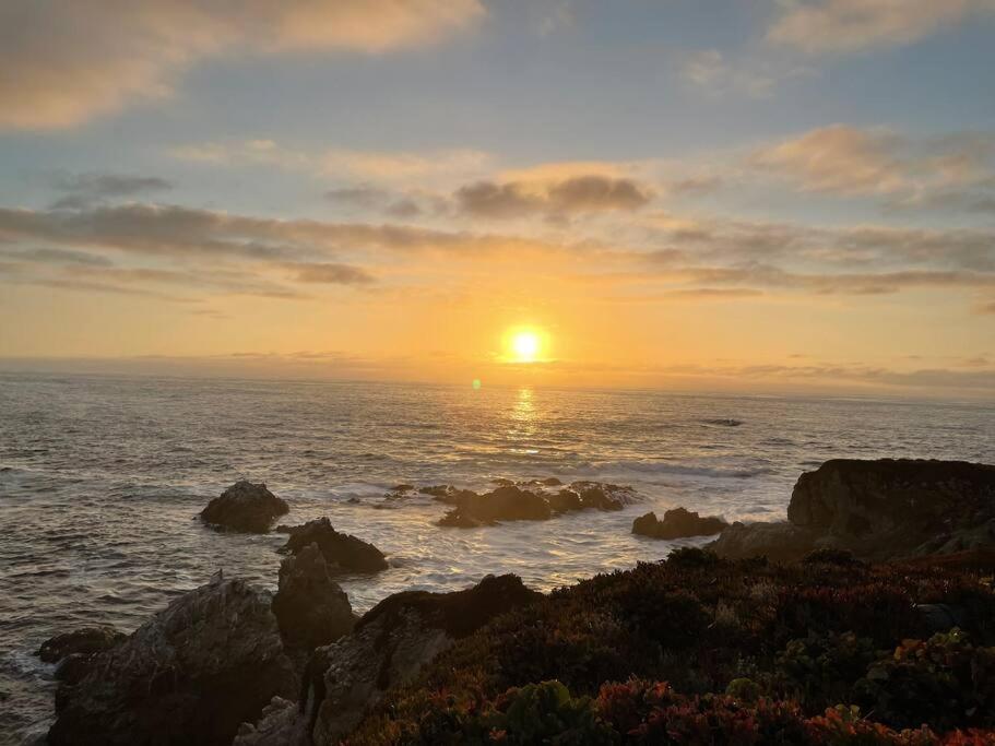 Riviera. Oceanfront, Walk To Beach. Holiday home