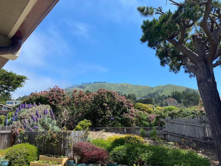 Riviera. Oceanfront, Walk To Beach. *