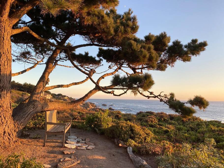 Riviera. Oceanfront, Walk To Beach. * Carmel-by-the-Sea
