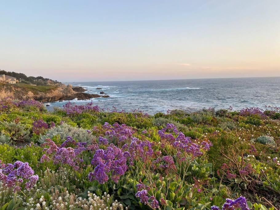 Holiday home Riviera. Oceanfront, Walk To Beach. *