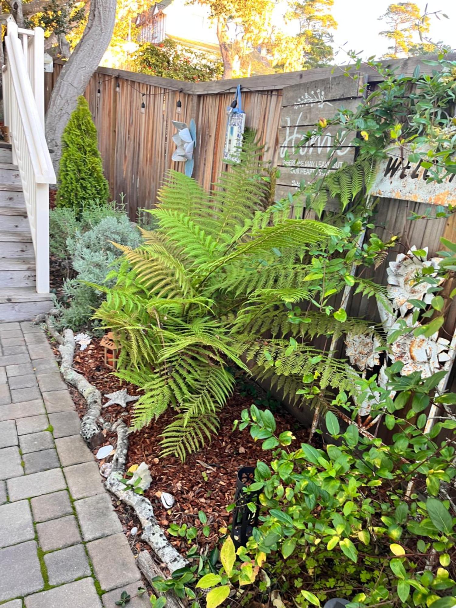 Holiday home Gorgeous 3-bdrm Home, Walk To Town And Carmel-by-the-Sea