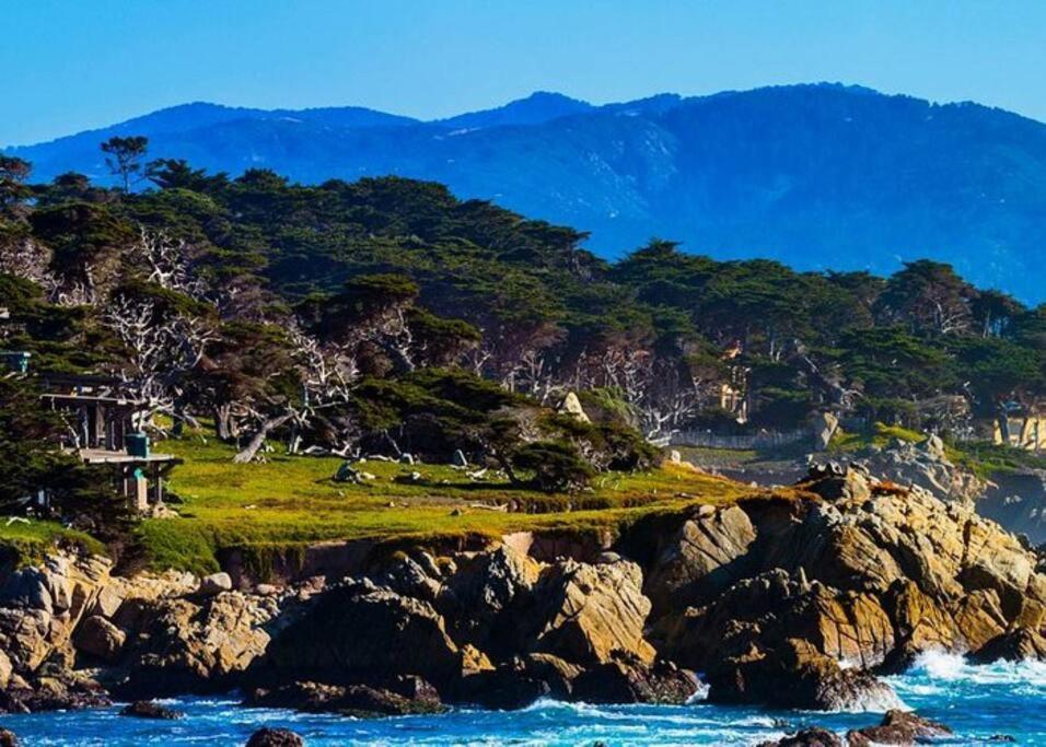 Gorgeous 3-bdrm Home, Walk To Town And * Carmel-by-the-Sea