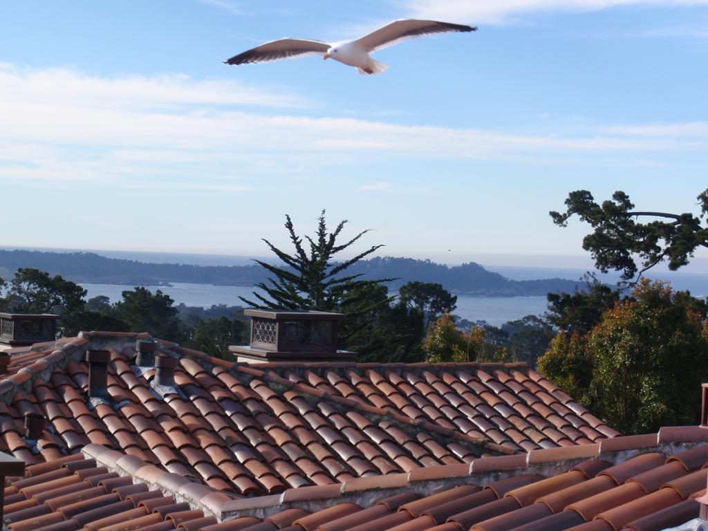 Horizon & Ocean View