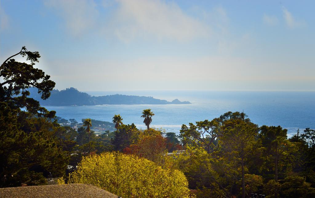 Horizon & Ocean View