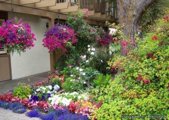 Adobe Bed & Breakfast