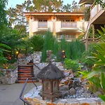 Tradewinds Carmel