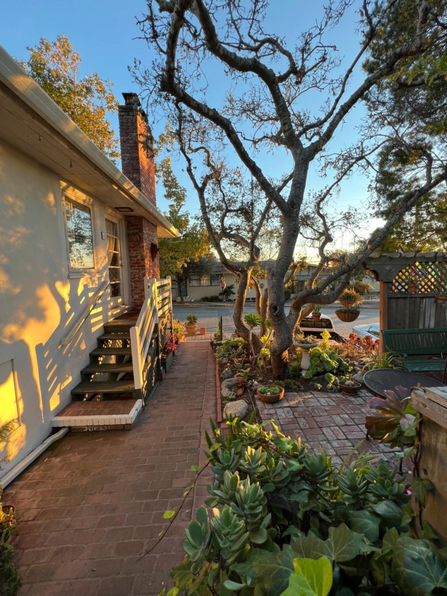 Bed & Breakfast Garden