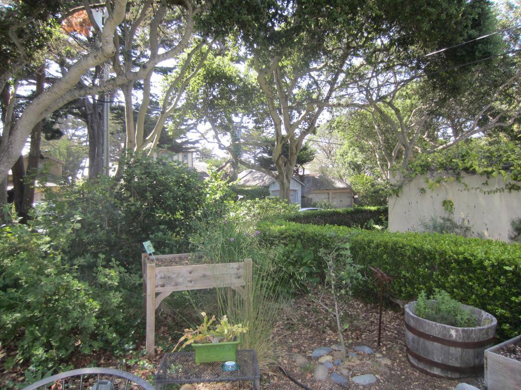 Edgemere Cottages Bed & Breakfast Carmel-by-the-Sea