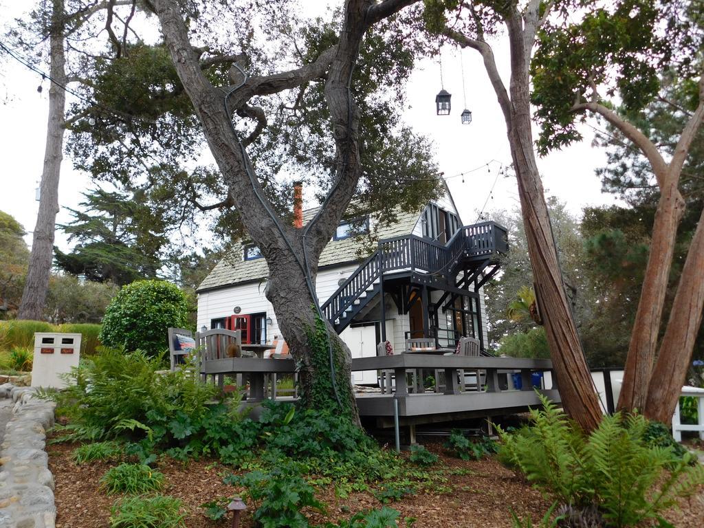 Lodge Forest Carmel-by-the-Sea