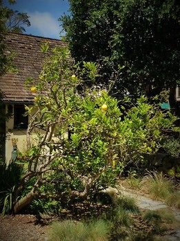 Bed & Breakfast Edgemere Cottages 3*