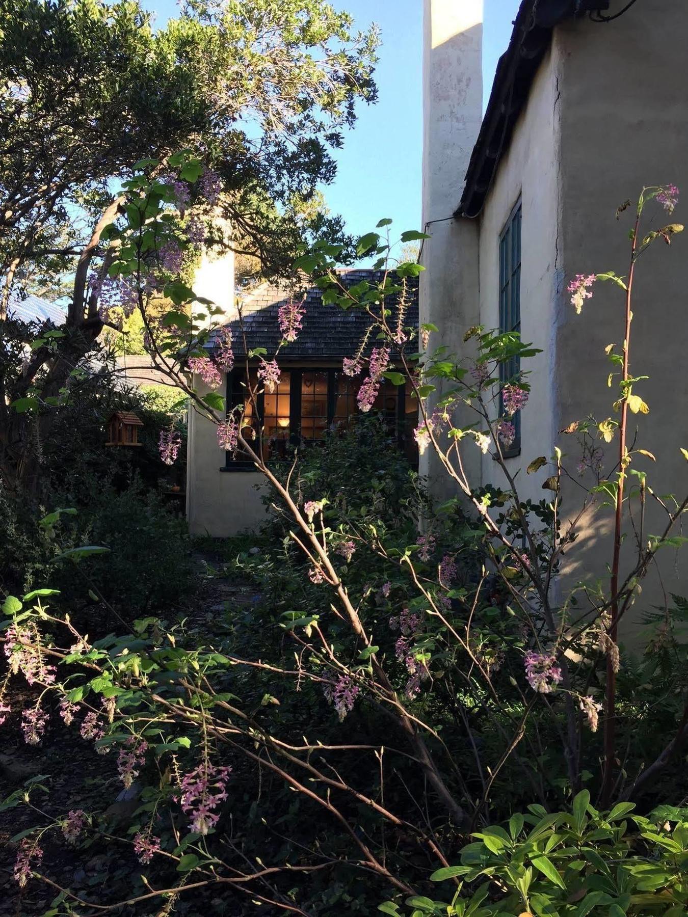 Edgemere Cottages Bed & Breakfast