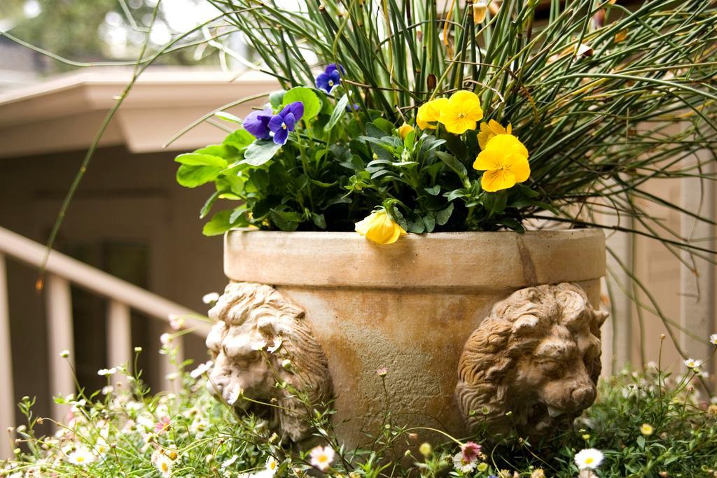 Country Bed & Breakfast 3*
