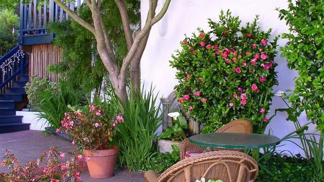 Monte Inn