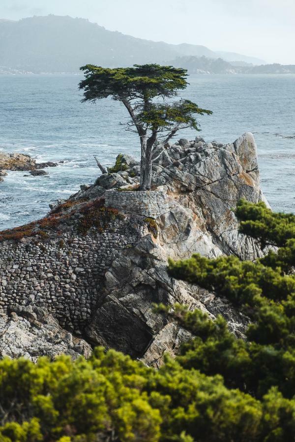 Sea View -